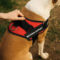 Tierhood ™ No Pull Harness