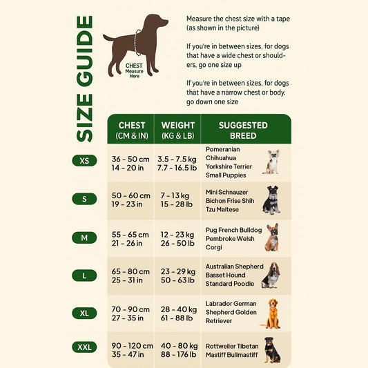 size-chart